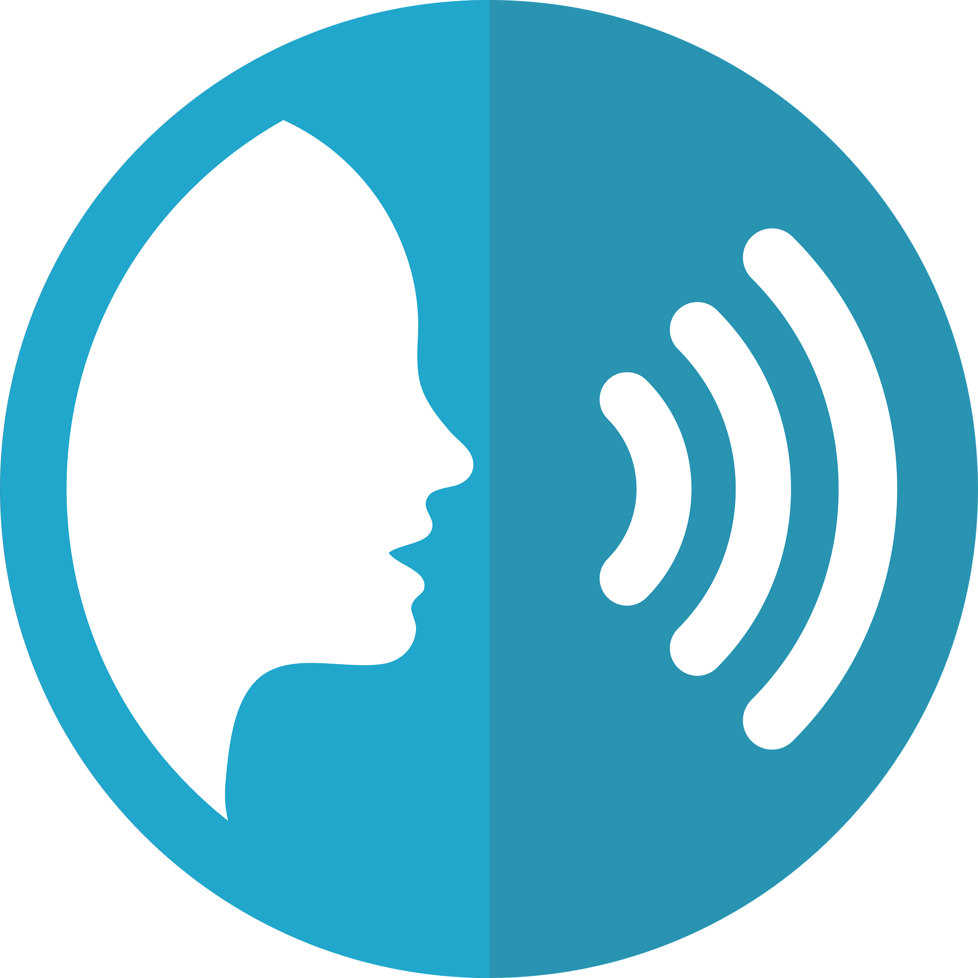 mcmurryjulie-speech-icon-2797263_1920
